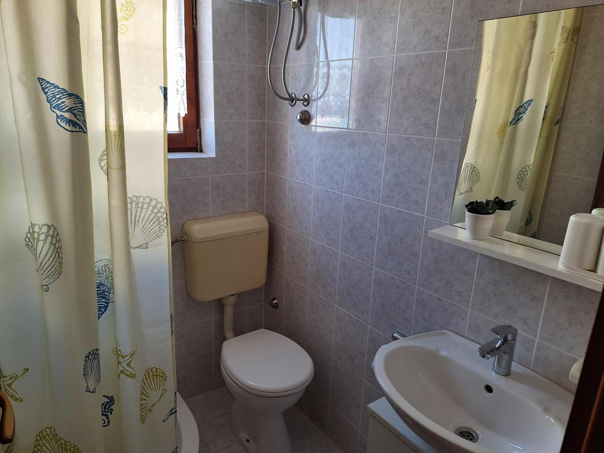 Apartment Ante *