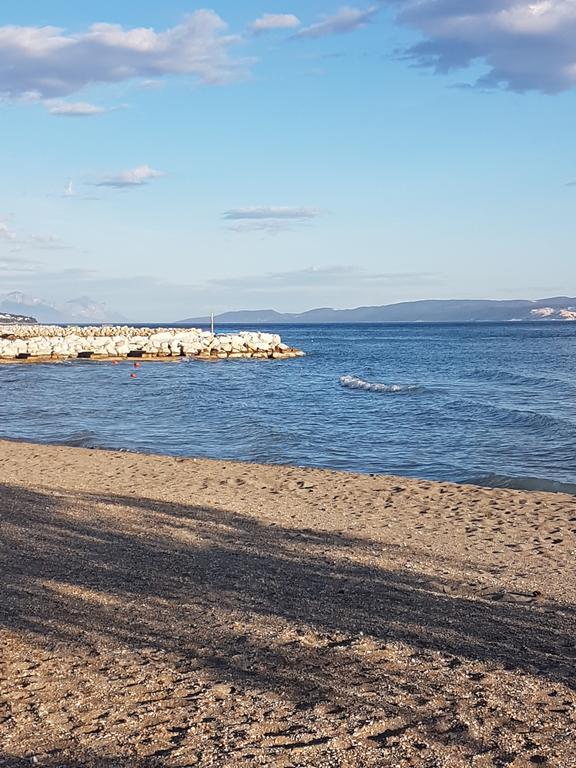 Ante Duće